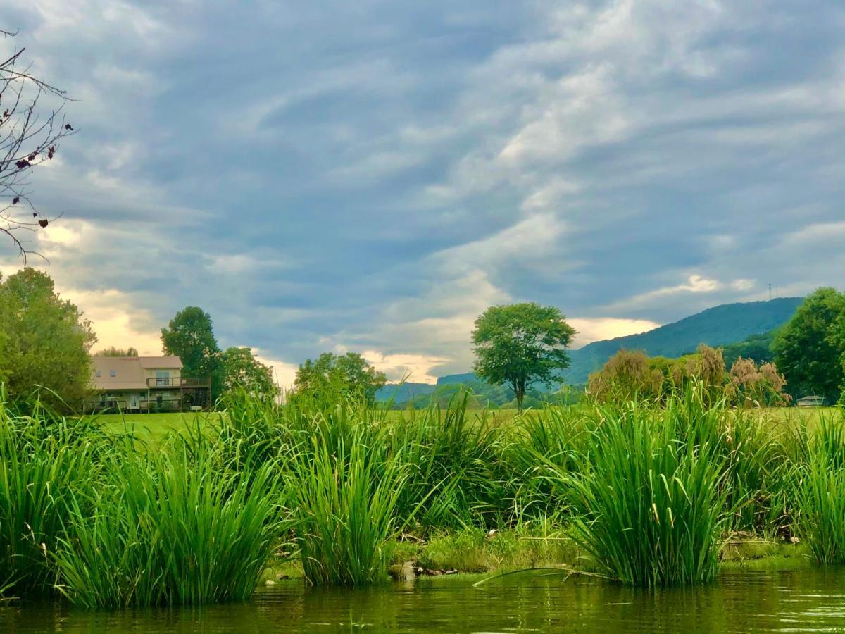 Little River Guest House At Tennessee Riverplace Chattanooga Zewnętrze zdjęcie